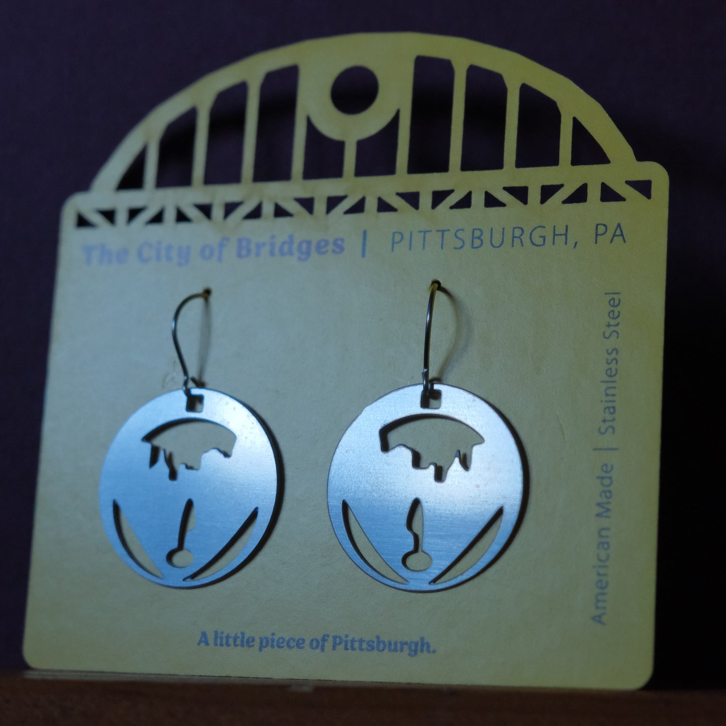 Pittsburgh Earrings | Point State Park