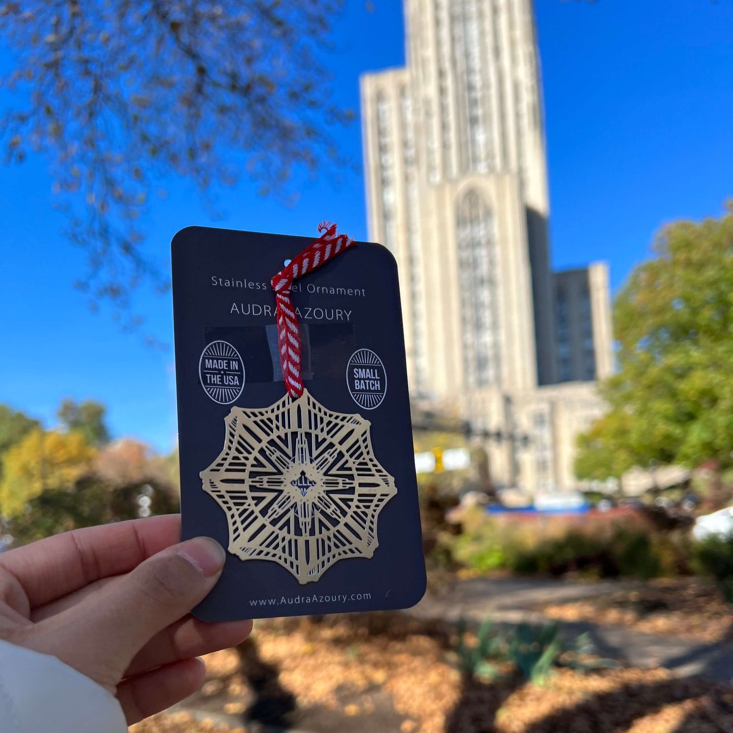 Cathedral & Bridges Snowflake Ornament, Pittsburgh by Audra Azoury