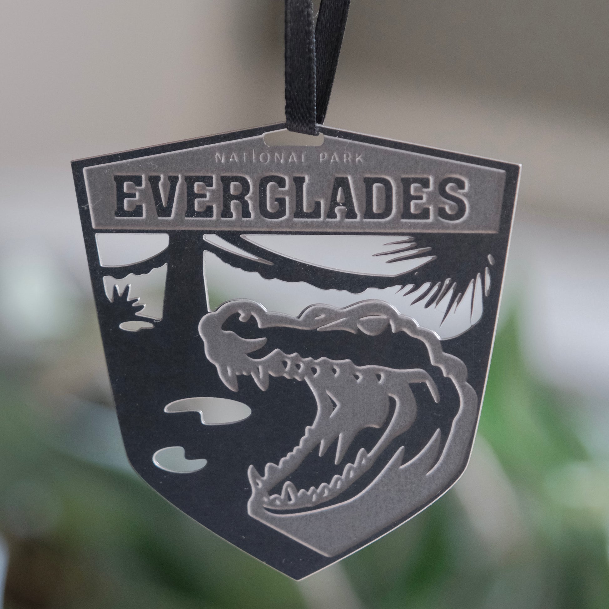 Everglades National Park Ornament by Audra Azoury