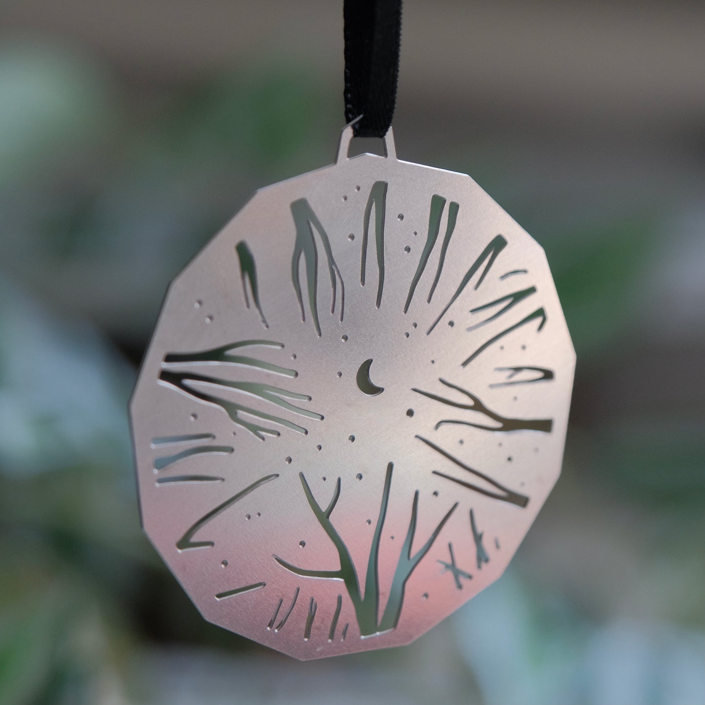 Nighttime sky through the forest trees