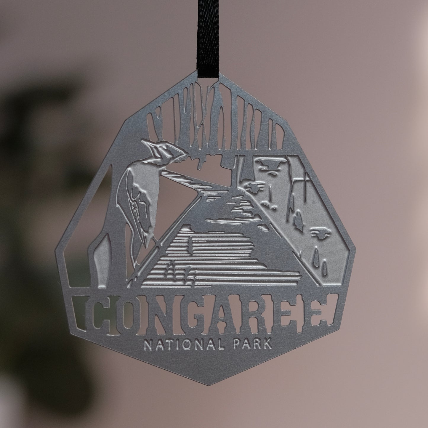 Congaree National Park