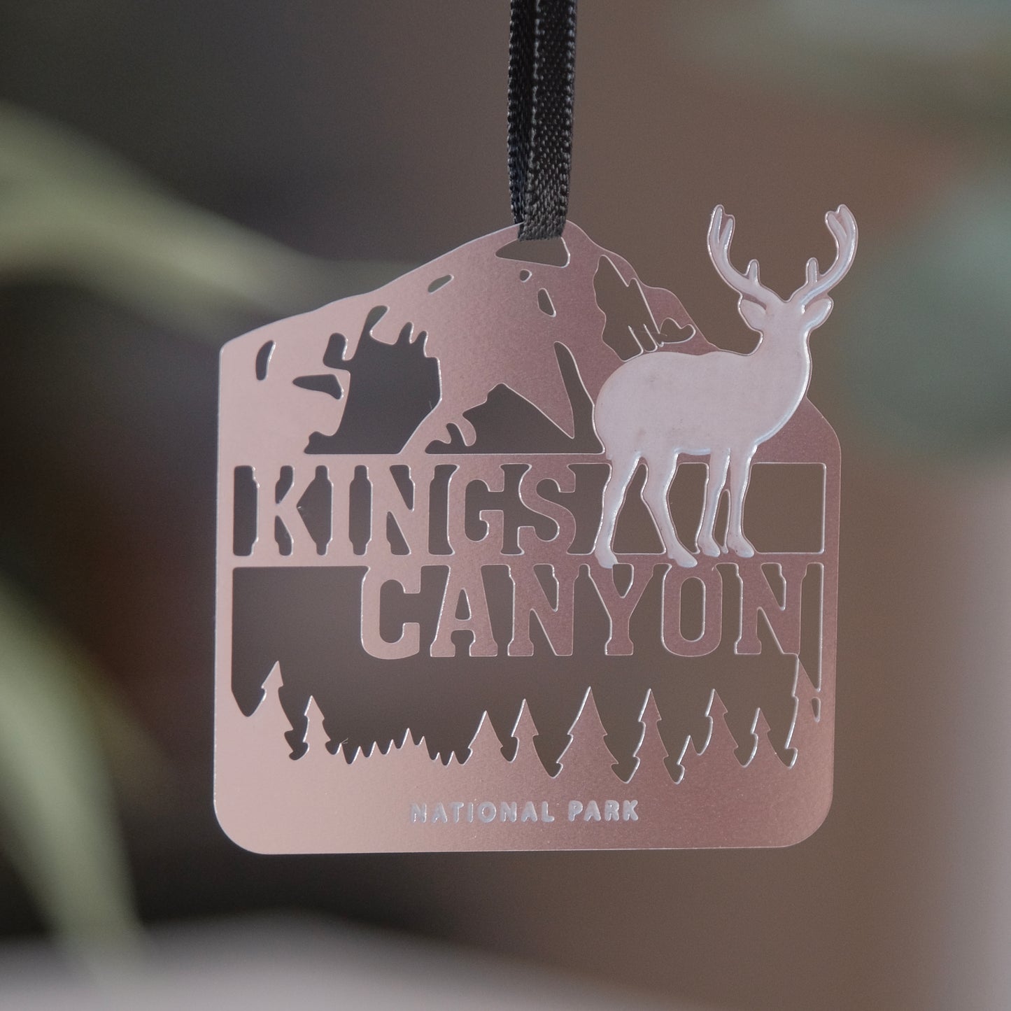 Kings Canyon National Park