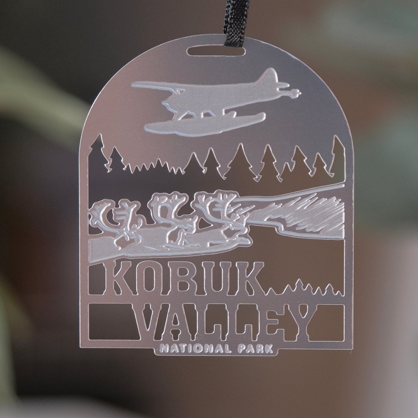 Kobuk Valley National Park