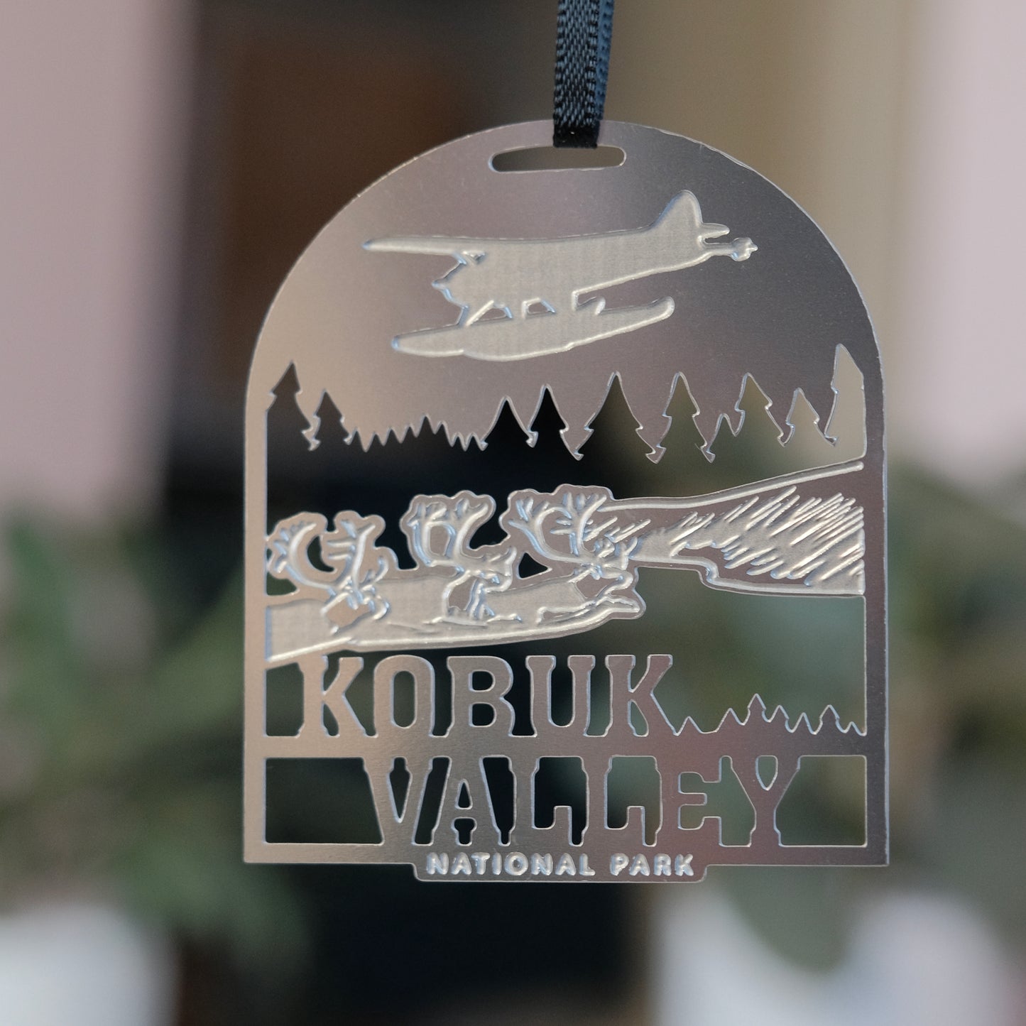 Kobuk Valley National Park