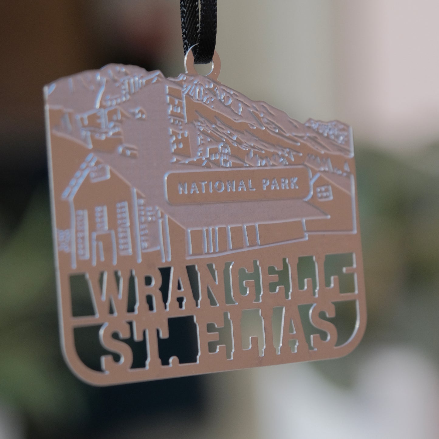 Wrangell-St. Elias National Park