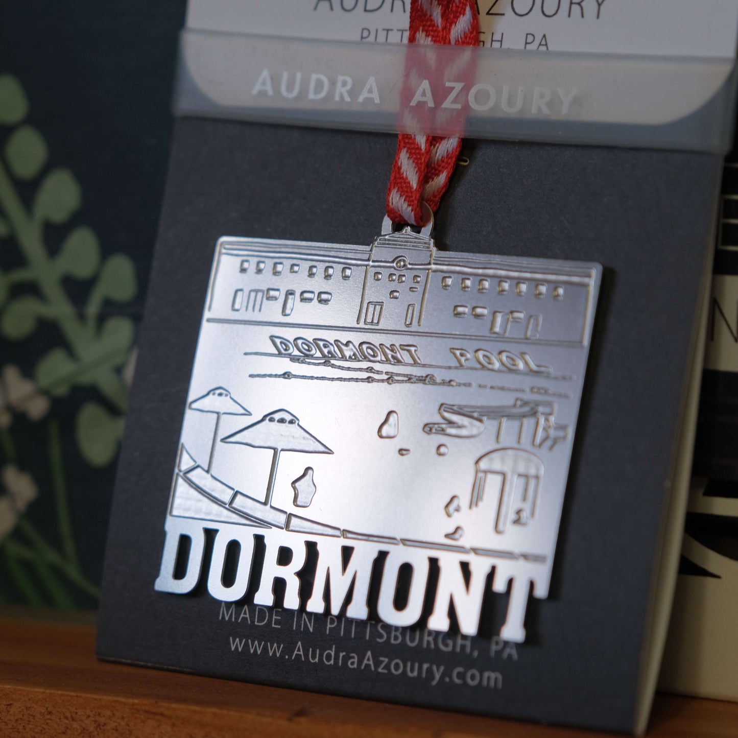 Dormont Pool Stainless Steel Ornament by Audra Azoury