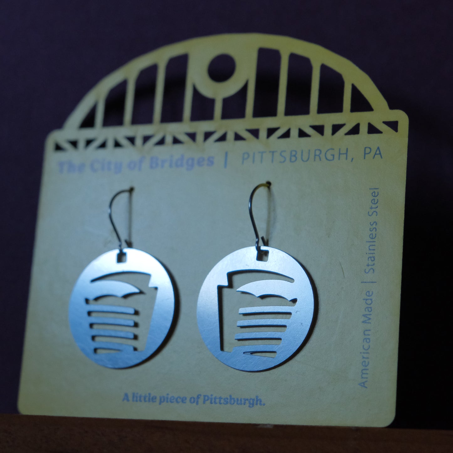 Pittsburgh Earrings | Football Field