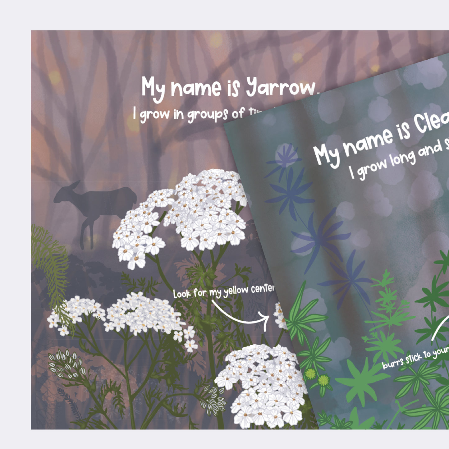 I am More Than "Just" a Weed - softcover children's book