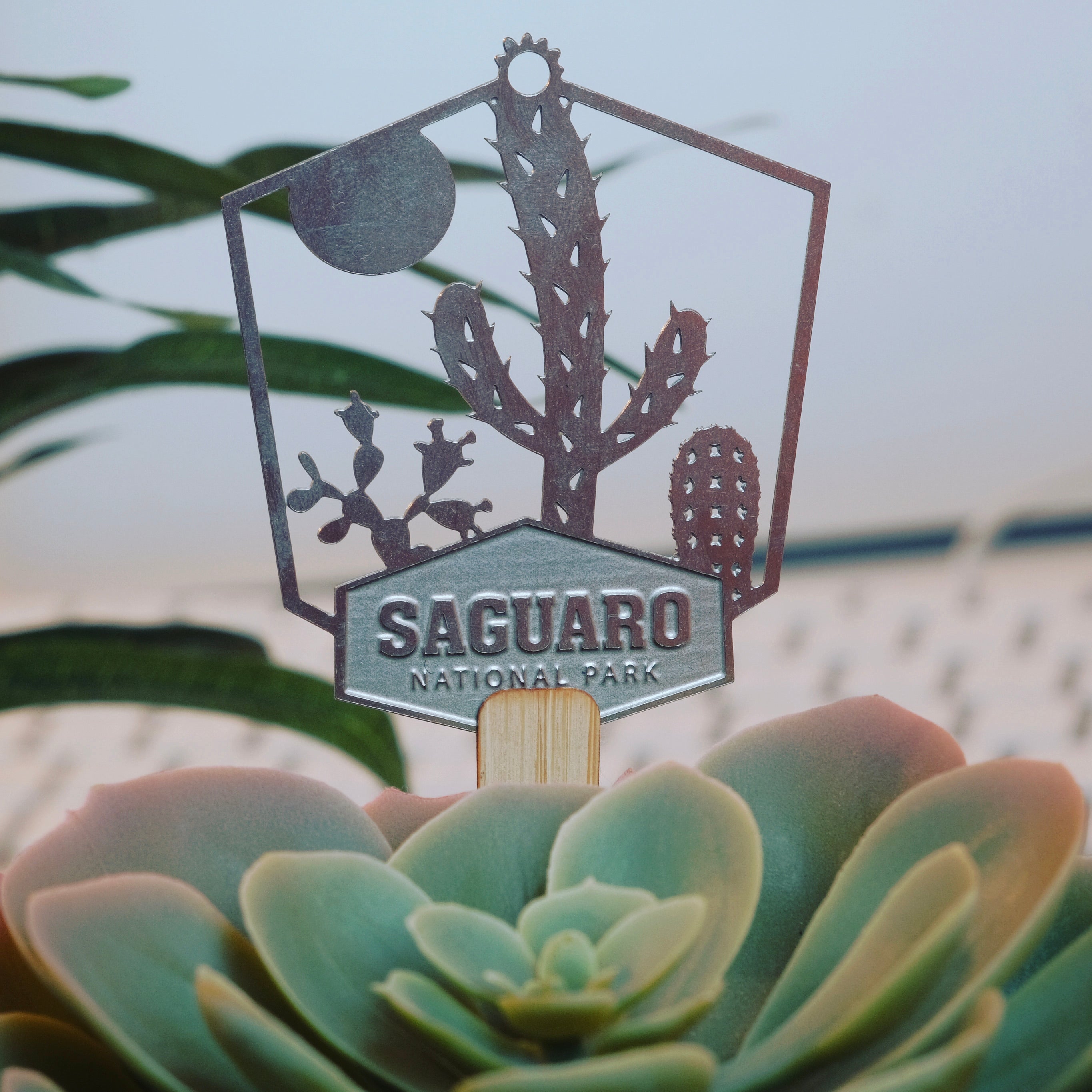 Saguaro National park ornament
