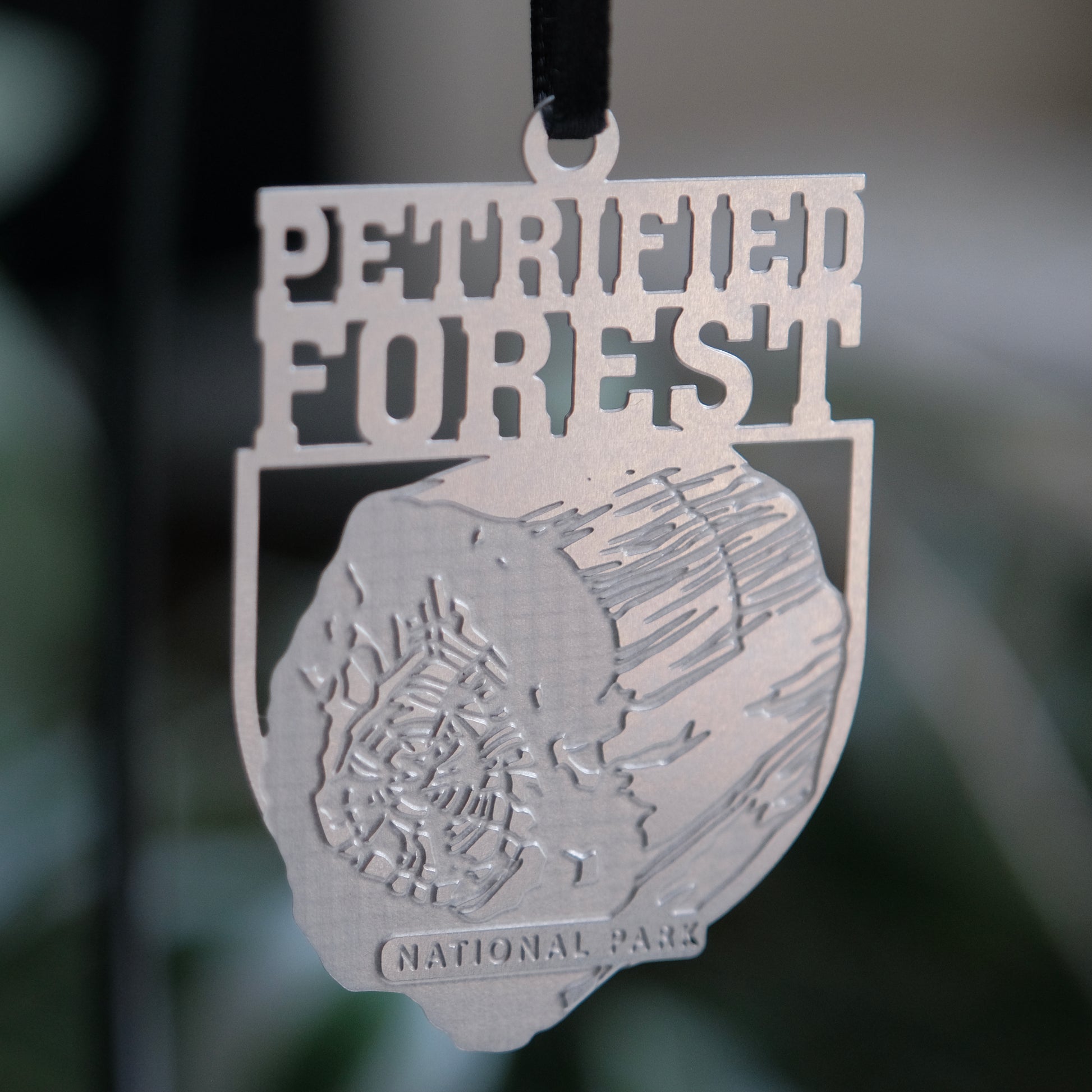 National Park Gift - Petrified Forest National Park Ornament