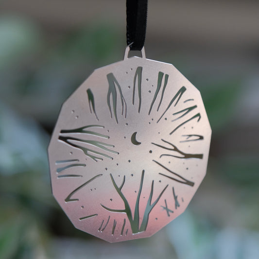 Nighttime sky through the forest trees