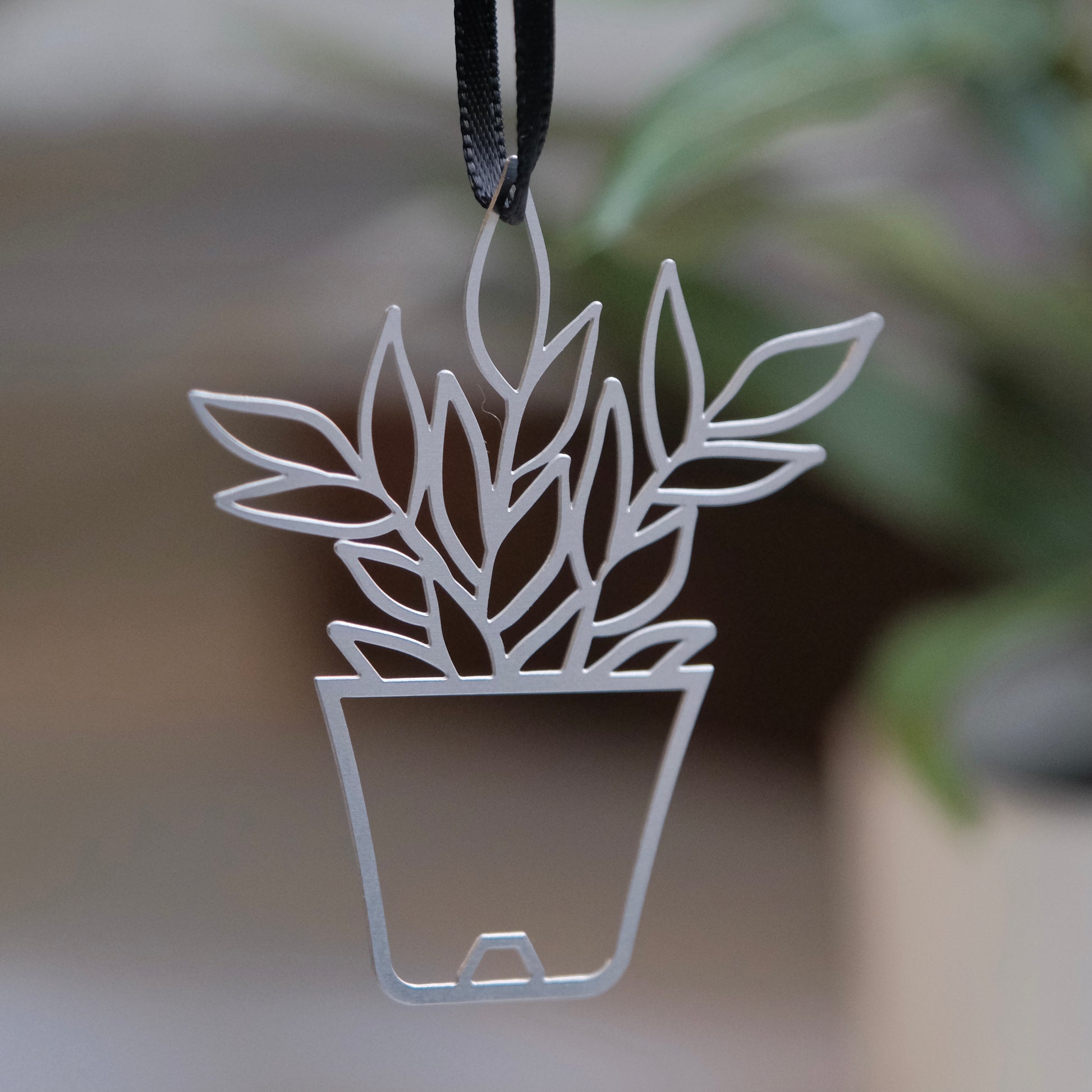 hanging zz plant ZZ Plant – Audra Azoury Design